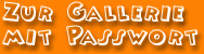 -= Du hast das Passwort, also nix wie rein =-